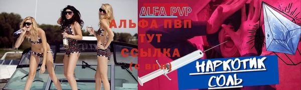 индика Абаза