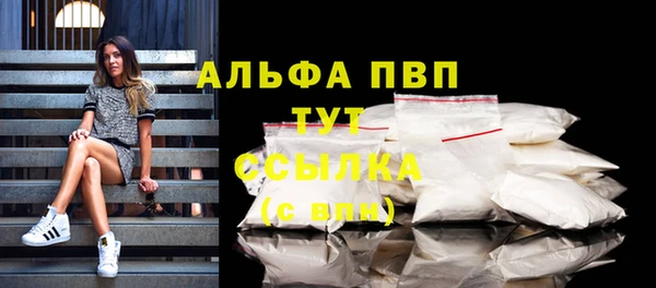 индика Абаза