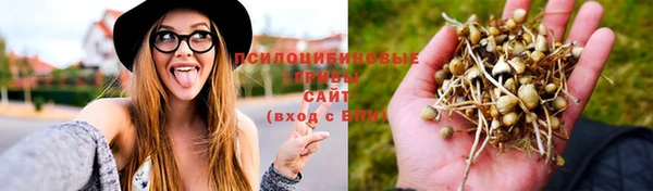 герыч Абинск