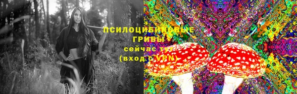 первитин Алексеевка