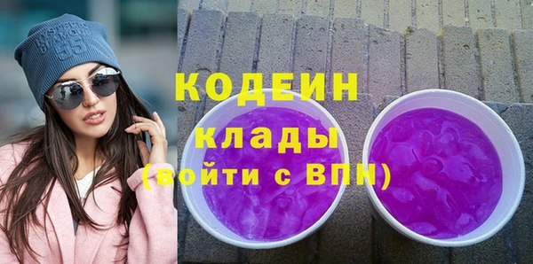 индика Абаза