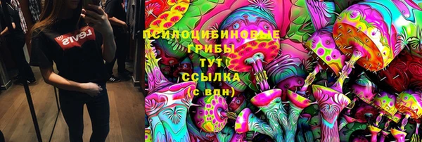 герыч Алексин