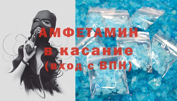 индика Абаза