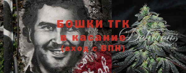 индика Абаза