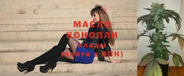 индика Абаза