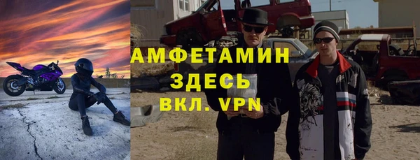 индика Абаза
